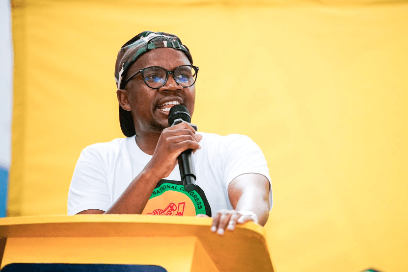 Malatji vows to take up arms if need be to remove illegal foreign nationals