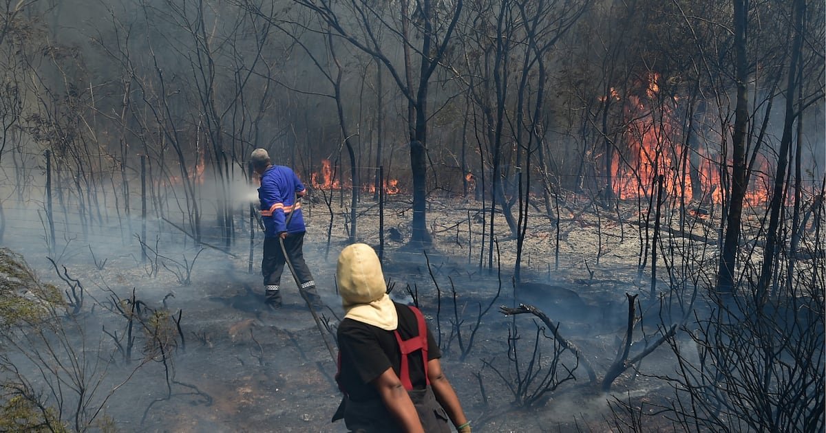 LETTER | Big thanks to all who fought Nelson Mandela Bay fires