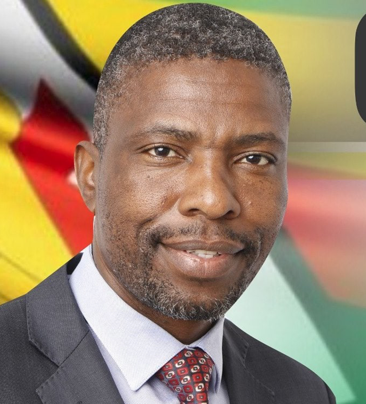 Who let the ‘beasts’ out?: Former Legislator Dexter Nduna releases dogs on Messenger of Court