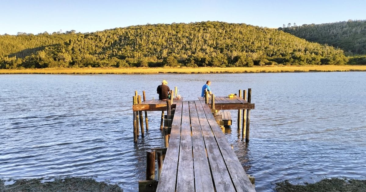 WEATHER GURU | The answer, my friend is blowing in the wind