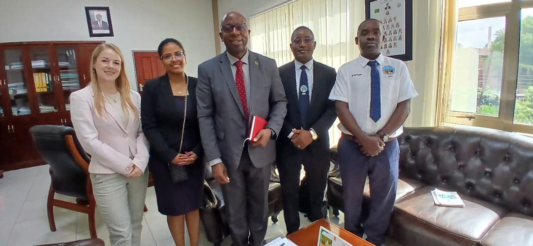 UNIDO announces 2027 rollout of mercury-free mining initiative in Zambia