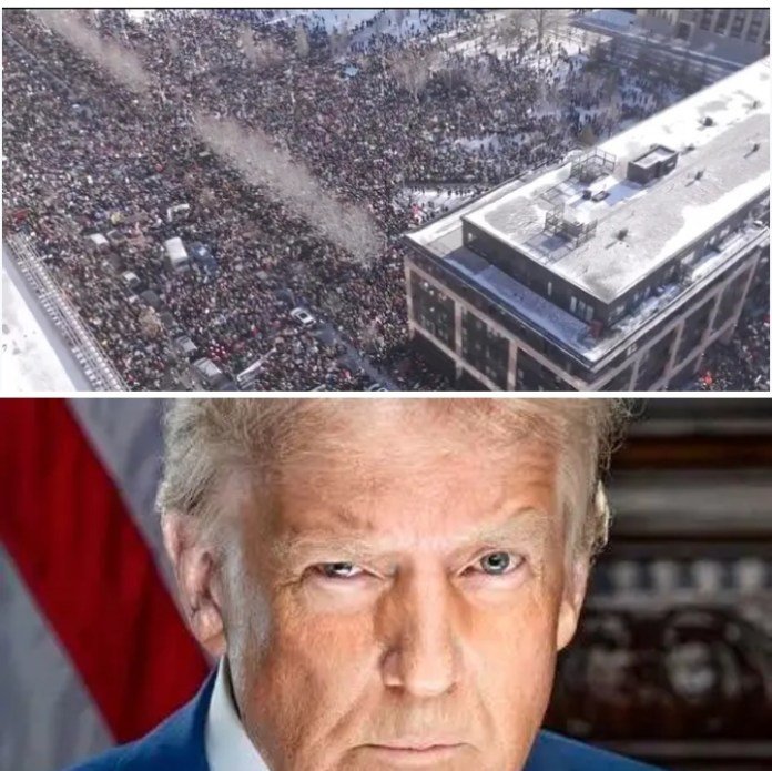 TRUMP’S POWER GRAB: DEMOCRACY IN THE FIRING LINE