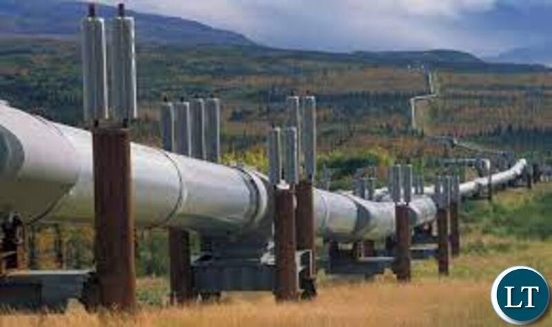 Govt accused of sabotaging petroleum sector through...
