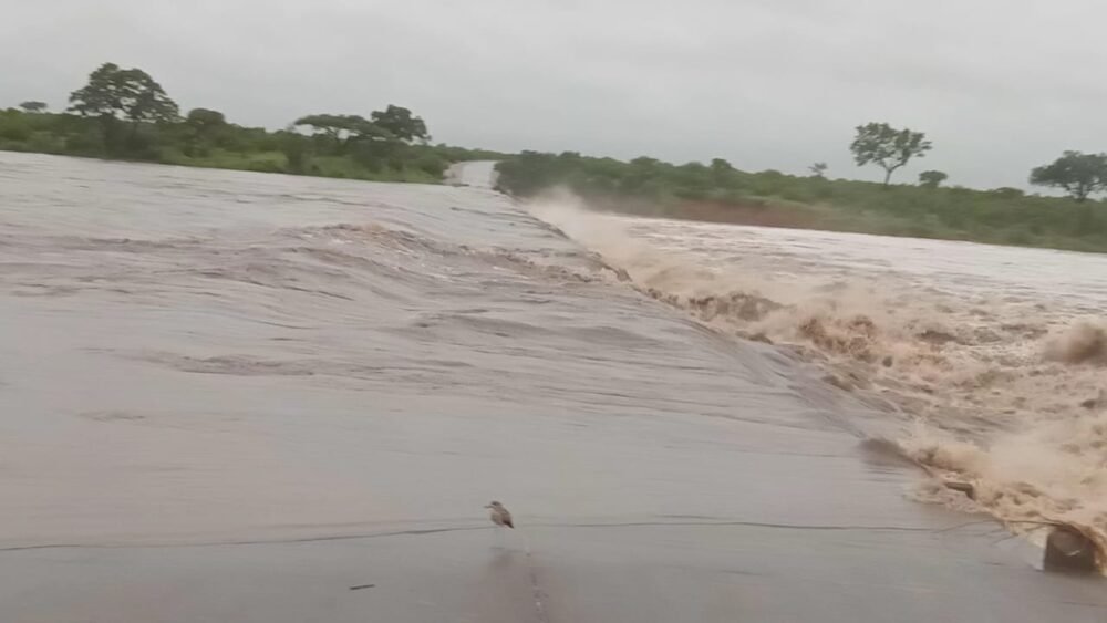 Severe floods kill 37 across Limpopo and Mpumalanga, national disaster declared