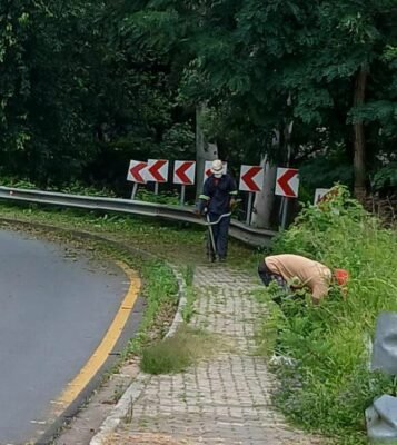 Bryanston resident takes city maintenance into his own hands