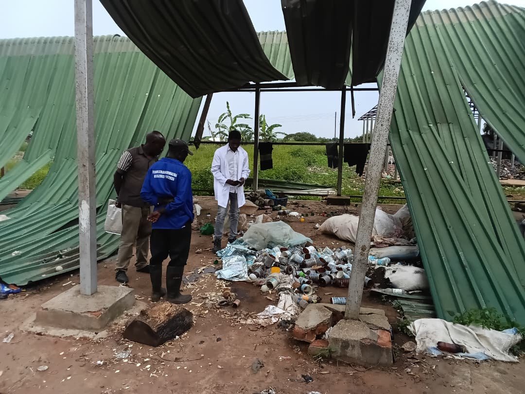 Pesticides Control Board Launches Nationwide Inspections to Ensure Safe Chemical Management