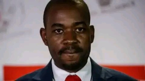 CHAMISA’S TEAM TALK: Opposition Leader Says “Groups Fail, Teams Win” in Fresh Rallying Call
