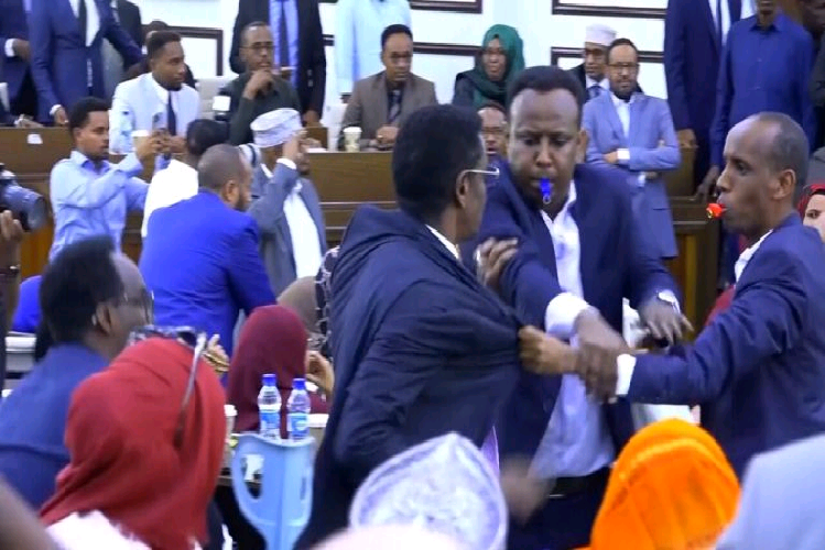 Deputados trocam socos por causa da prorrogação do mandato