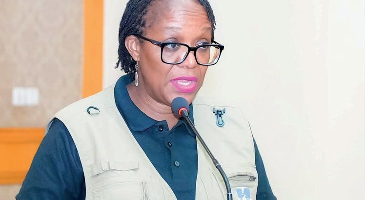 MEC launches by-elections