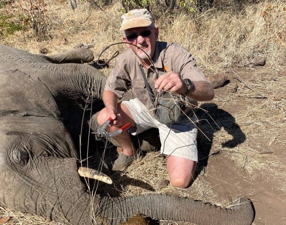 Wire snares continue to kill wildlife around Hwange, despite crackdown