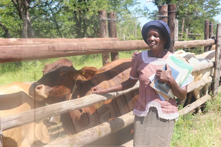 Relief for farmer as authorities