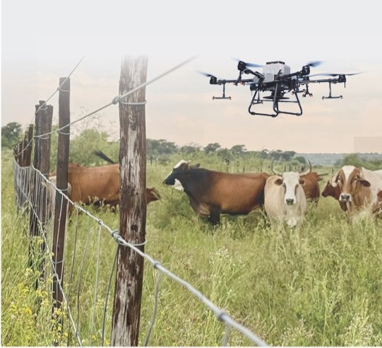 Government Deploys Drones For FMD Survelliance