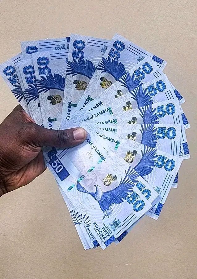 PUBLIC SERVICE WELCOME EXTRA 10 PERCENT PARTIAL NAPSA PENSION WITHDRAW