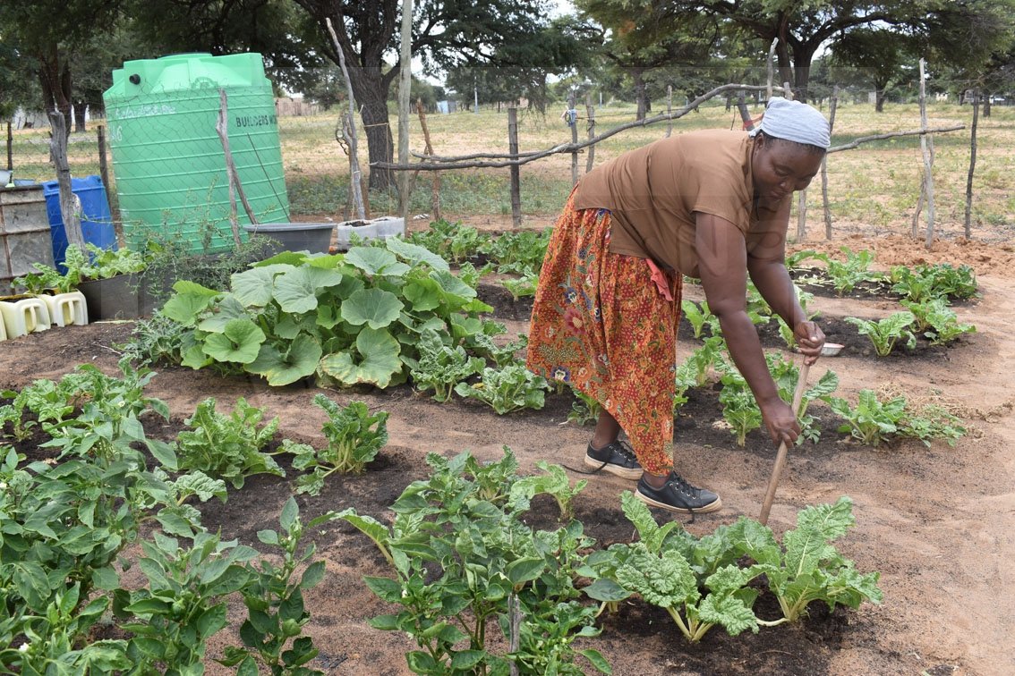 Backyard Gardening Transforms Life of