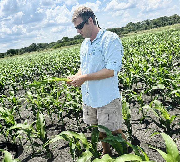Pandamatenga farmers return to full