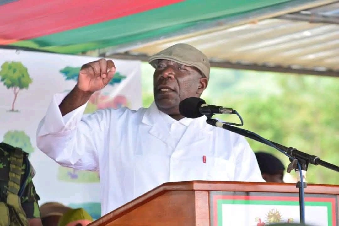 Second Vice President Chihana Applauds Fresh Inquiry into Tragic Plane Crash