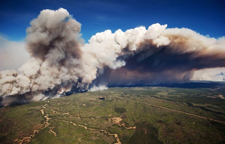 Every business depends on nature and most are helping destroy it, landmark report warns