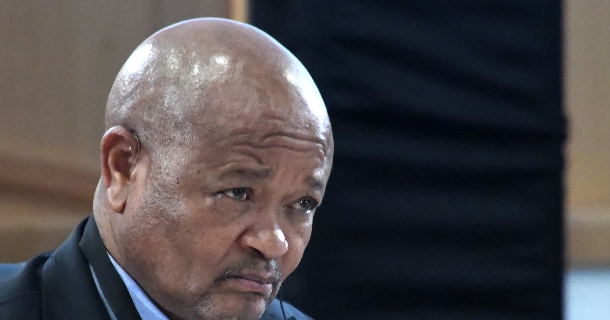 Failure to act against Mchunu big risk for Ramaphosa