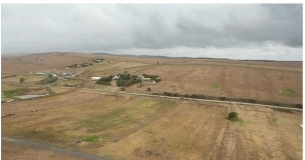 WEATHER GURU | Welcome rains but many farmers still in dire straits