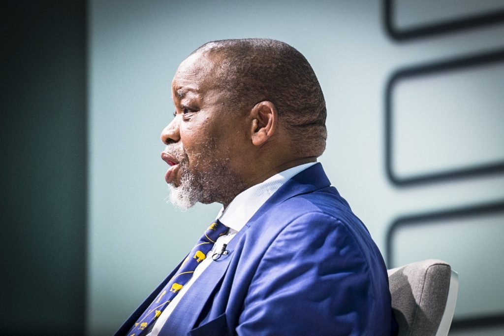 Global rush for critical minerals puts African countries at risk, Mantashe warns