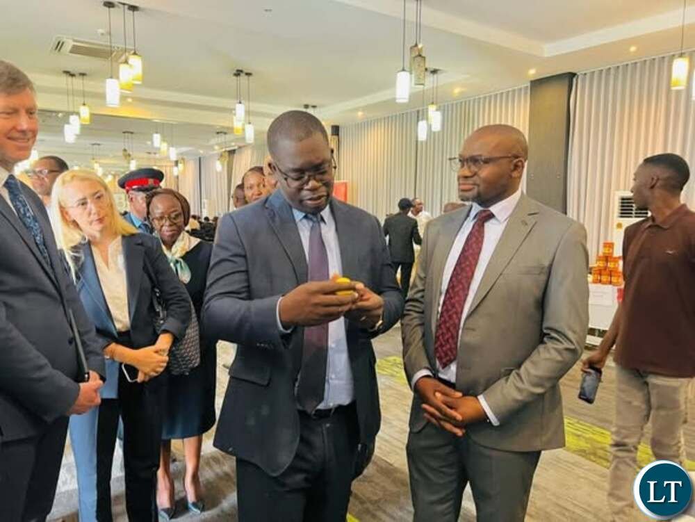 Government says election year will not slow...