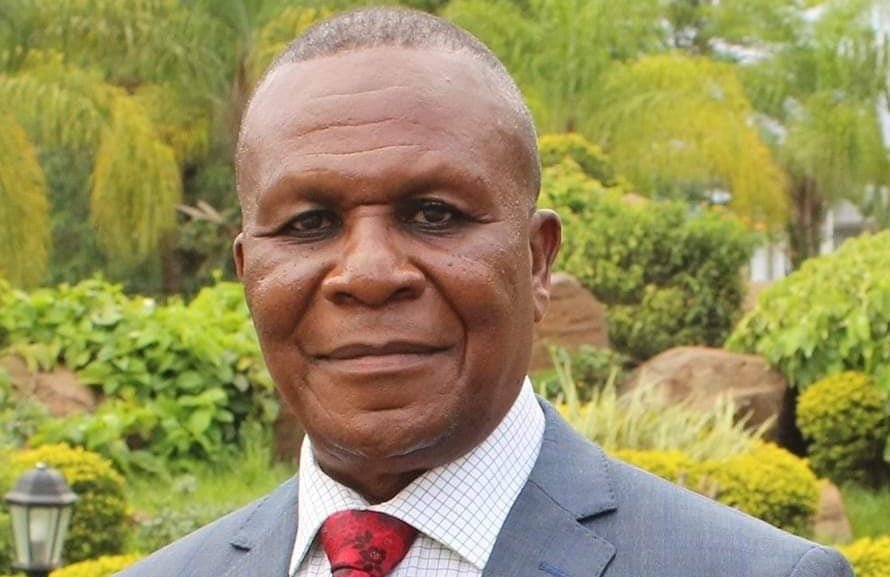 Malawian appointed into AU-EU research platform