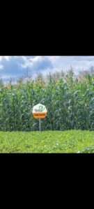 The Global DNA Behind the Local Harvest: Valley Seeds’ Five-Year Strategic Leap