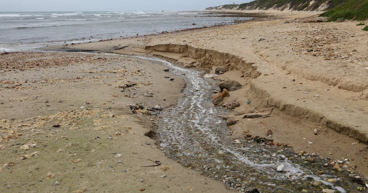 Smell of failure in air as Gqeberha’s coastal charm starts to fade