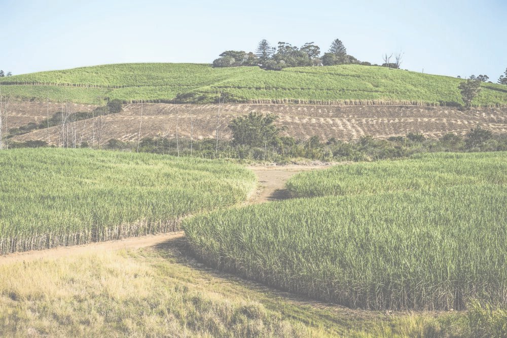 Tongaat Hulett collapse looms