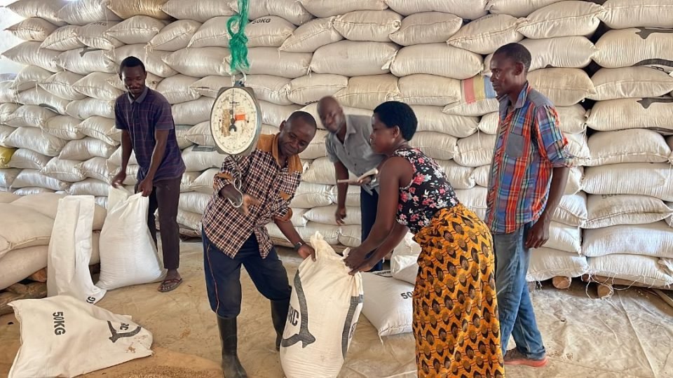 Admarc fails to meet farm produce purchase target