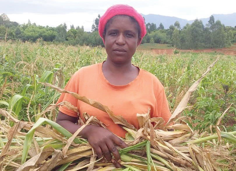 Hunger fears set in amid dry spell projection