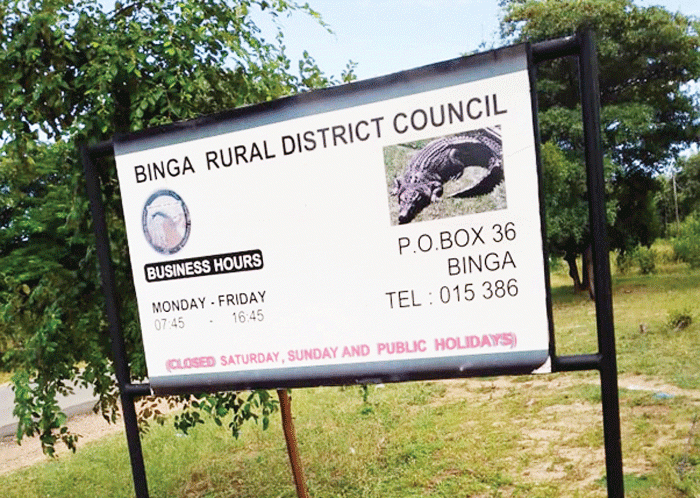 Grace-and-Favour: Binga RDC builds $200k lakeside mansion for CEO despite government ban