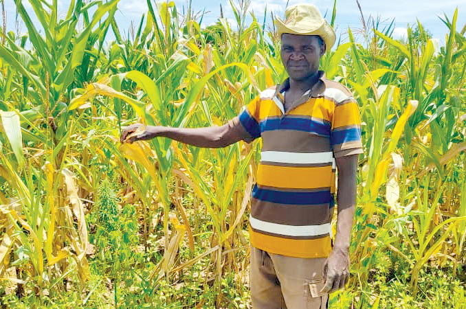 Farmers rue dry spell