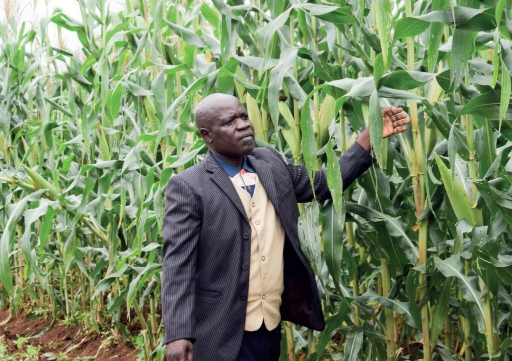 Rain harvesting gives hope amid dry spells