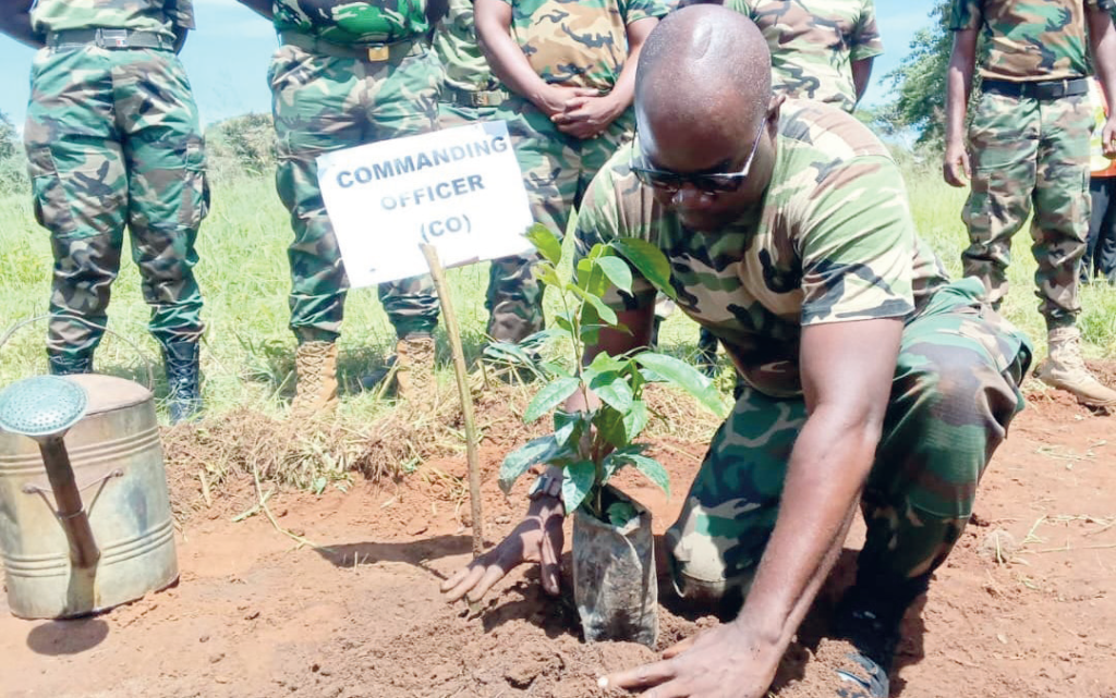 MDF plants trees to restore forests in Kasungu District
