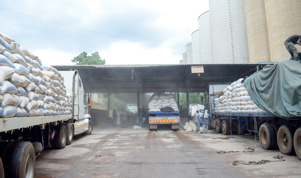 Malawi hauls 51 000MT maize from Zambia
