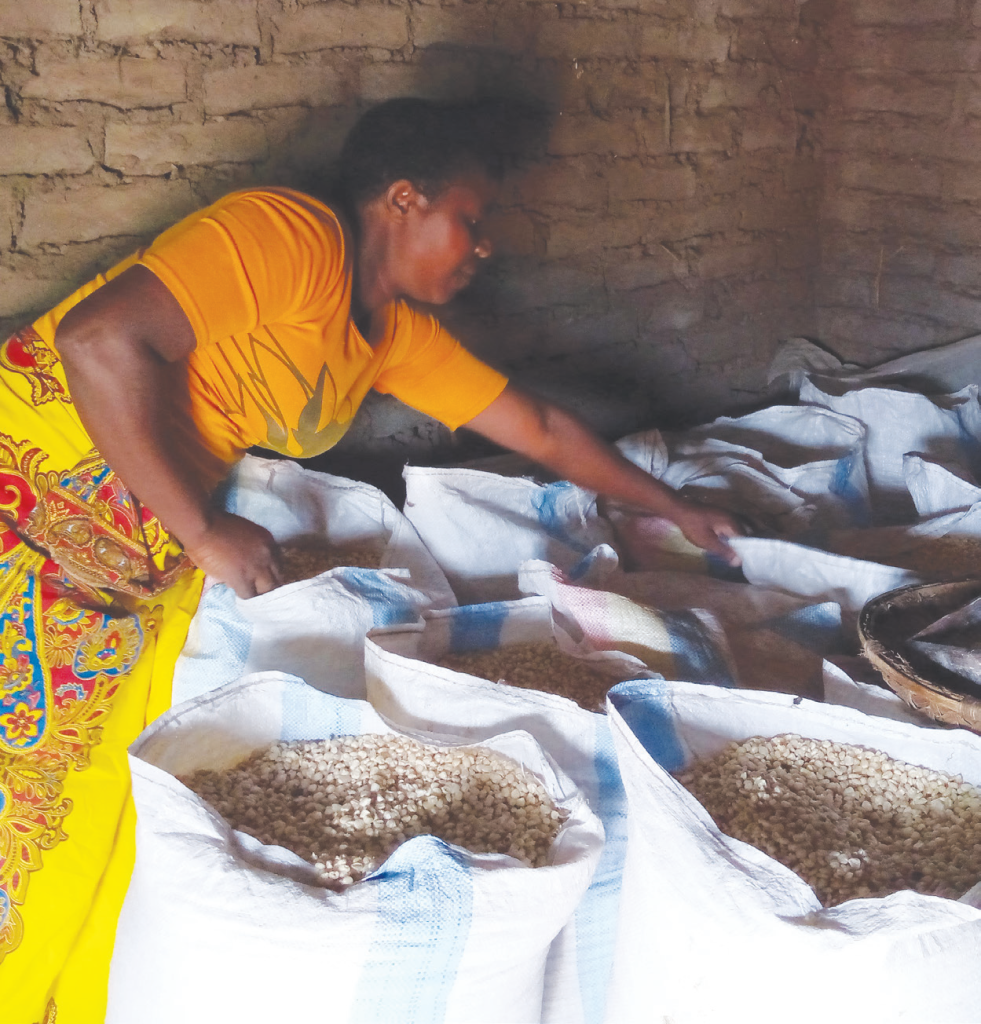 Farmers go climate-smart