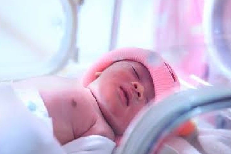 Bebê nasce com três órgãos genitais