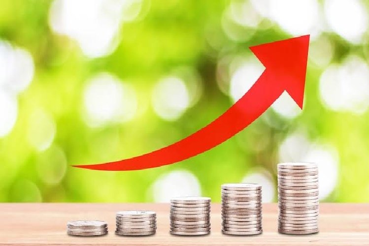 FMI vê economia promissora para Moçambique