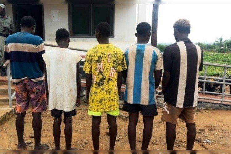 Detidos jovens acusados de homicídio