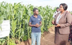 Initiative boosts farmers’ output
