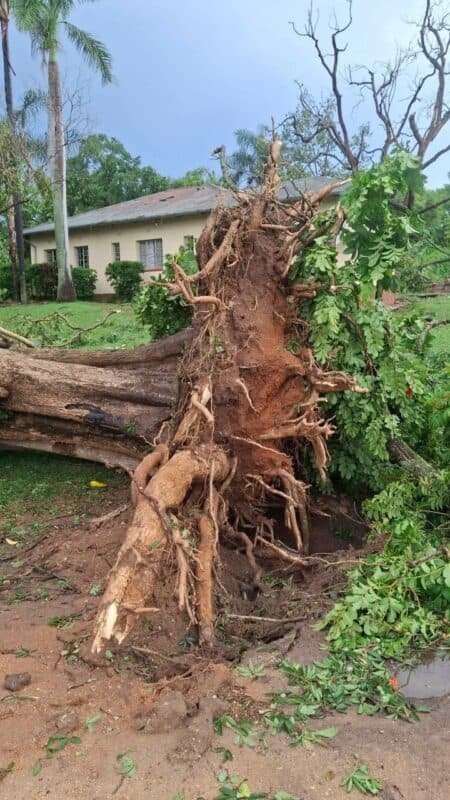 Mbombela weather: Residents report destruction following Croc Valley storm