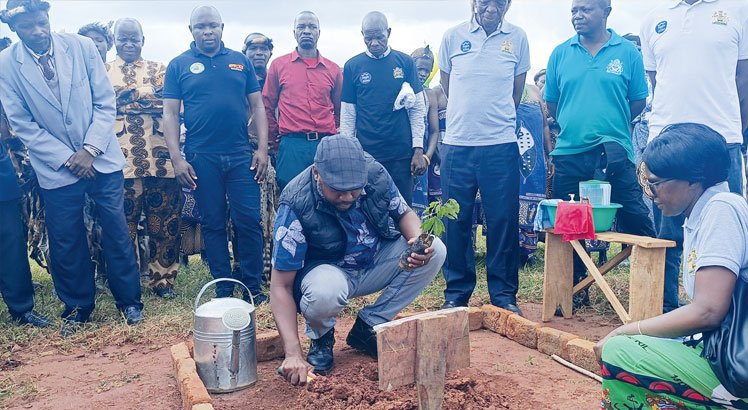 Make Mzimba green again