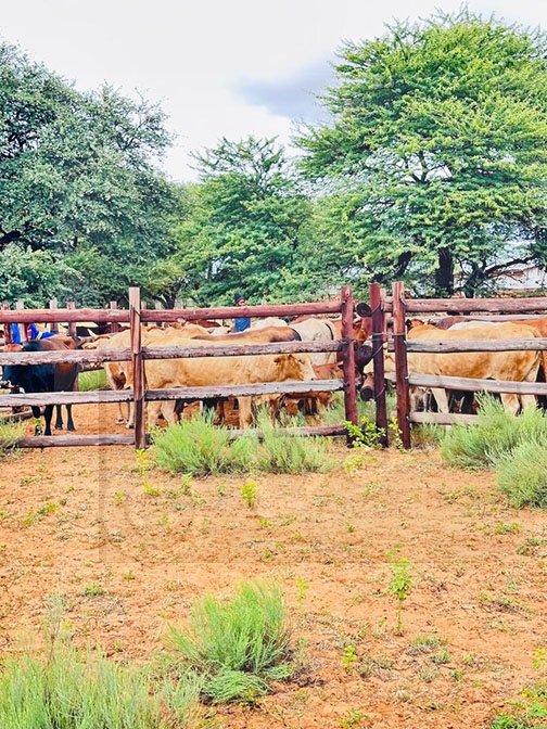 Ministry relocates more than 200