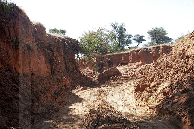 Illegal sand mining on the