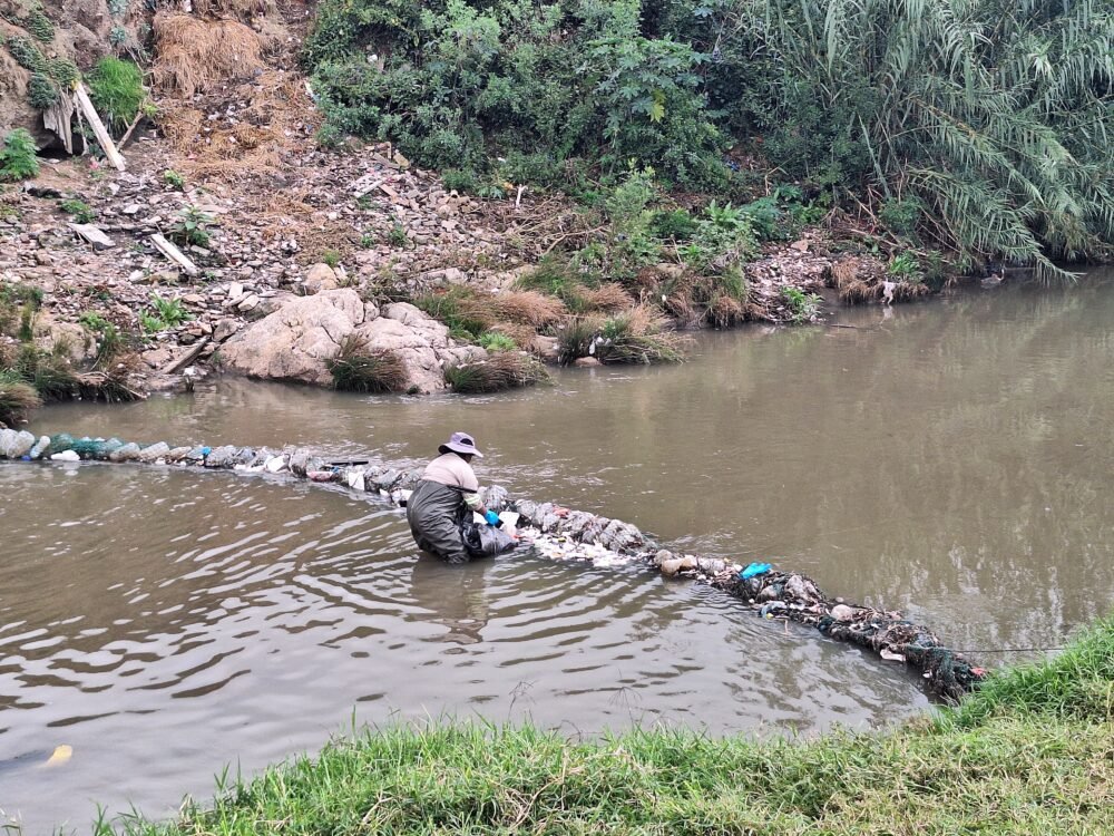 Investing in urban nature pays off