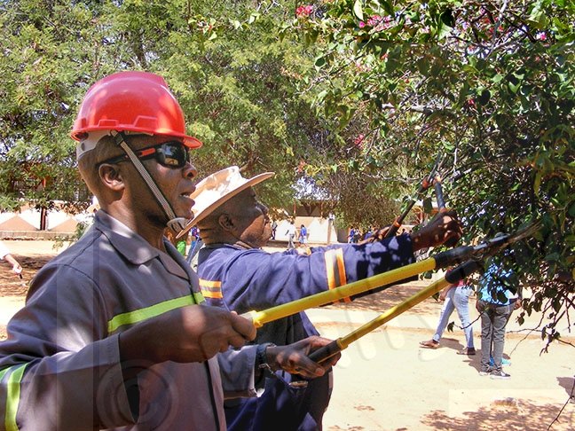 Mbizi initiative brings schools back