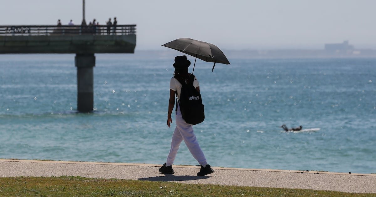 LETTER | Bellbuoy debacle would not have happened under Zoetmulder’s watch