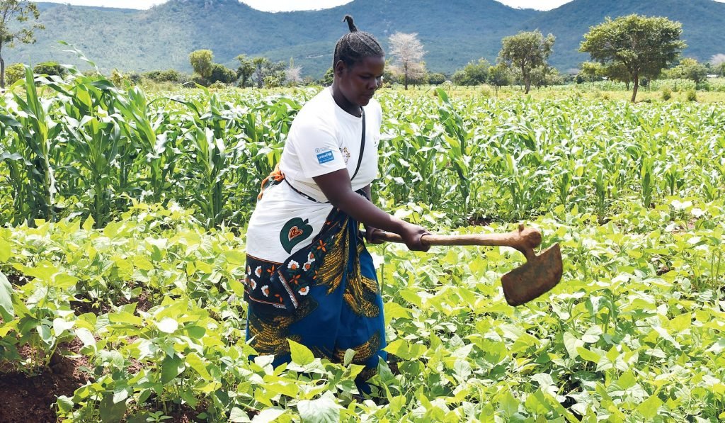 From survival to stability