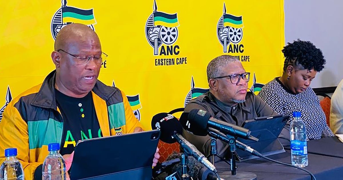 IN MY VIEW | Stakes are high for ANC if it fails to find the path to effective reform